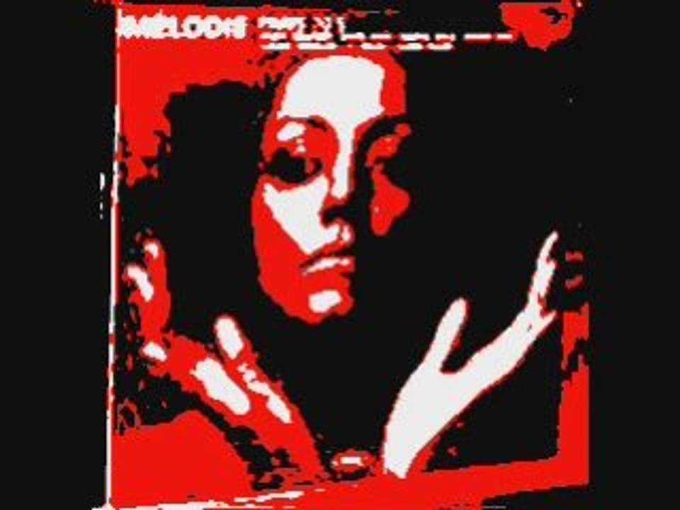 D. Janin et J.C. Pierric-Saramina