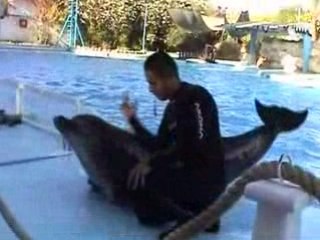 SHARM EL SHEIKH 2008 - Delfinárium