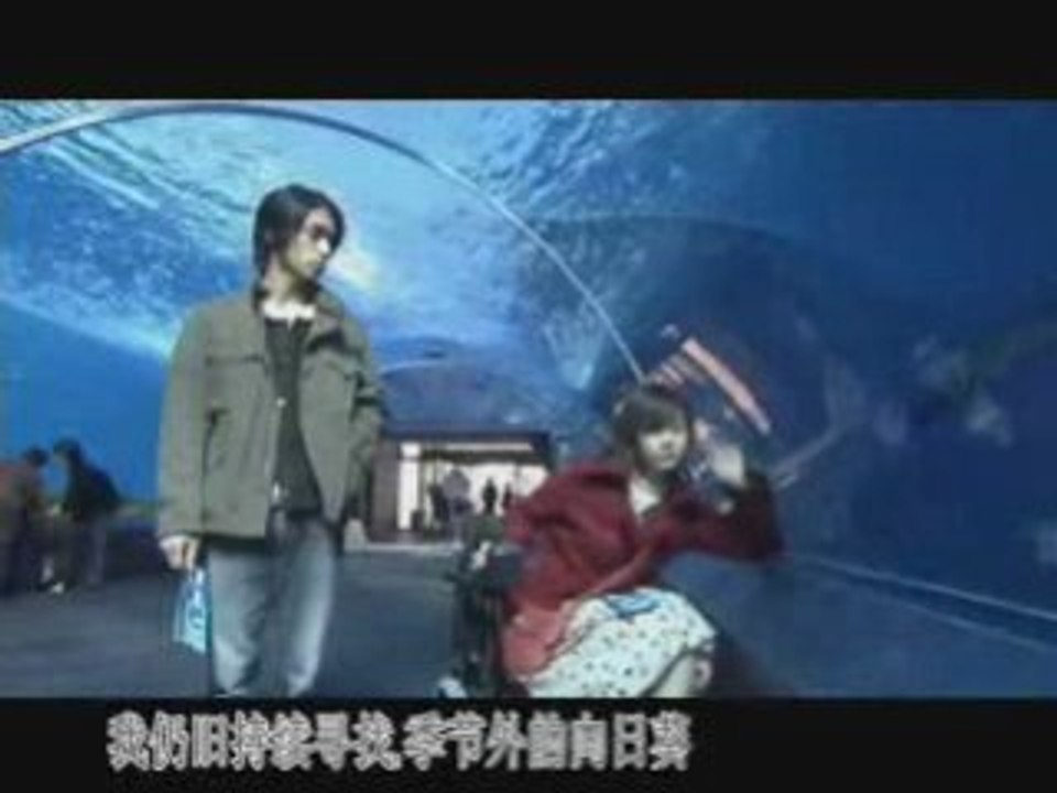 K - Only Human ( Ichi rittoru no namida )