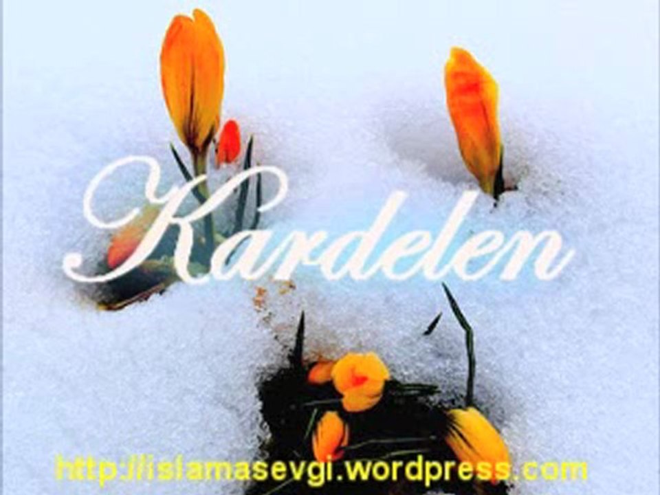 Kardelen