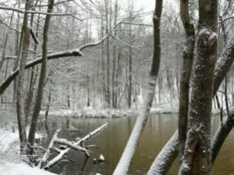 Winter Snowy Lake