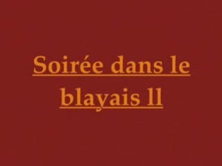 Soiree dans le blayais 2