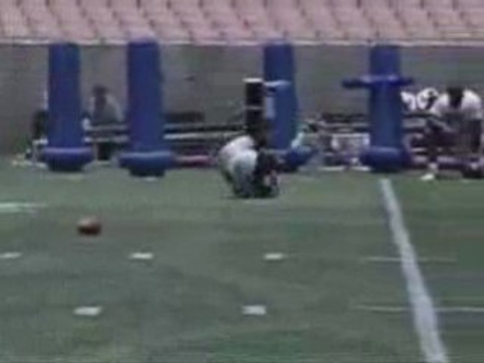 Michael Vick Strong Arm
