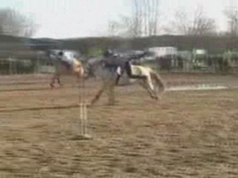 Vendéezilles - Allonnes - 7 décembre 2008