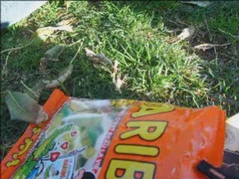 Mes Amies et Moi au Parc (super version !)