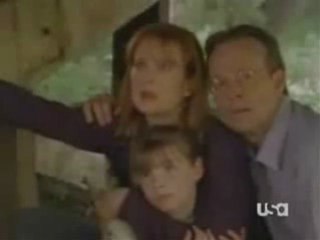 Parodie Chuck Norris