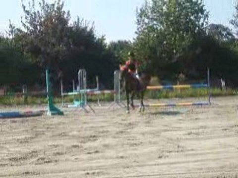 saut d'obstacle oscar et moi