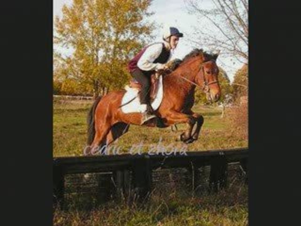 les écuries de l'aubois