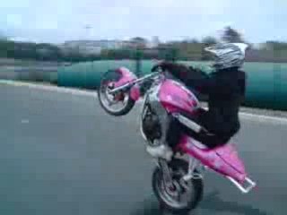 stunt wech hamed