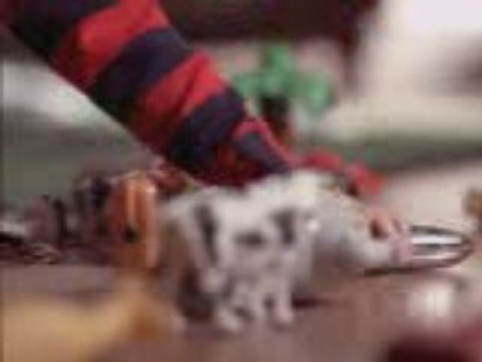 Parodie ikea vibro pub delire