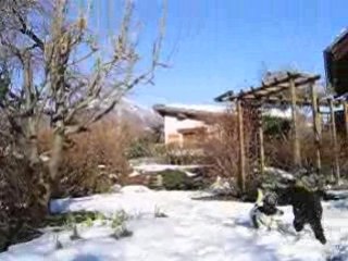 Pluck et cally : la présentation