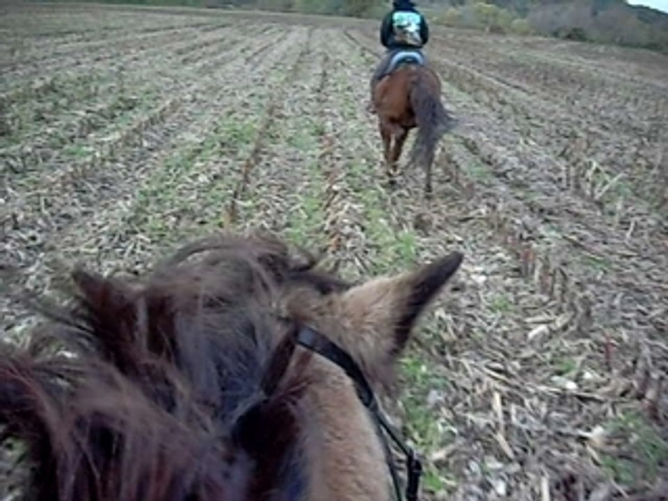 CHUTE D'AKELA ^^