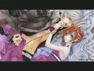 AMV Vampire Knight ( Zero et Yuuki )