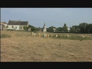 "Deux ou trois choses sur Sanzay" film documentaire