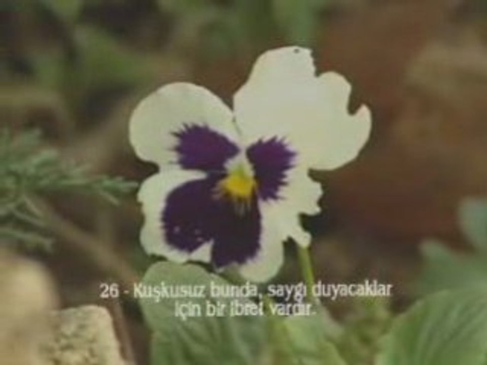 TheUrl Commericals - Naziat Suresi - Abdussamed (Kur'an-i Ke