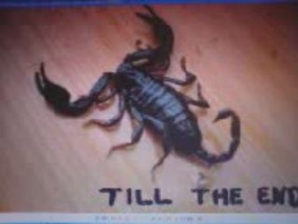 Scorpioi