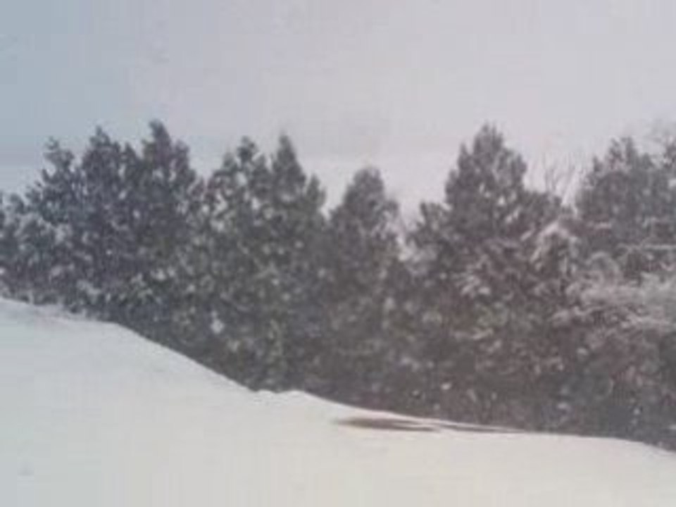 Neige 7 janvier 2009