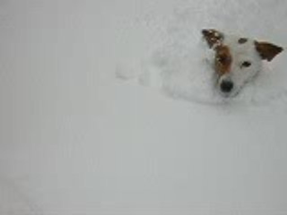 lilou