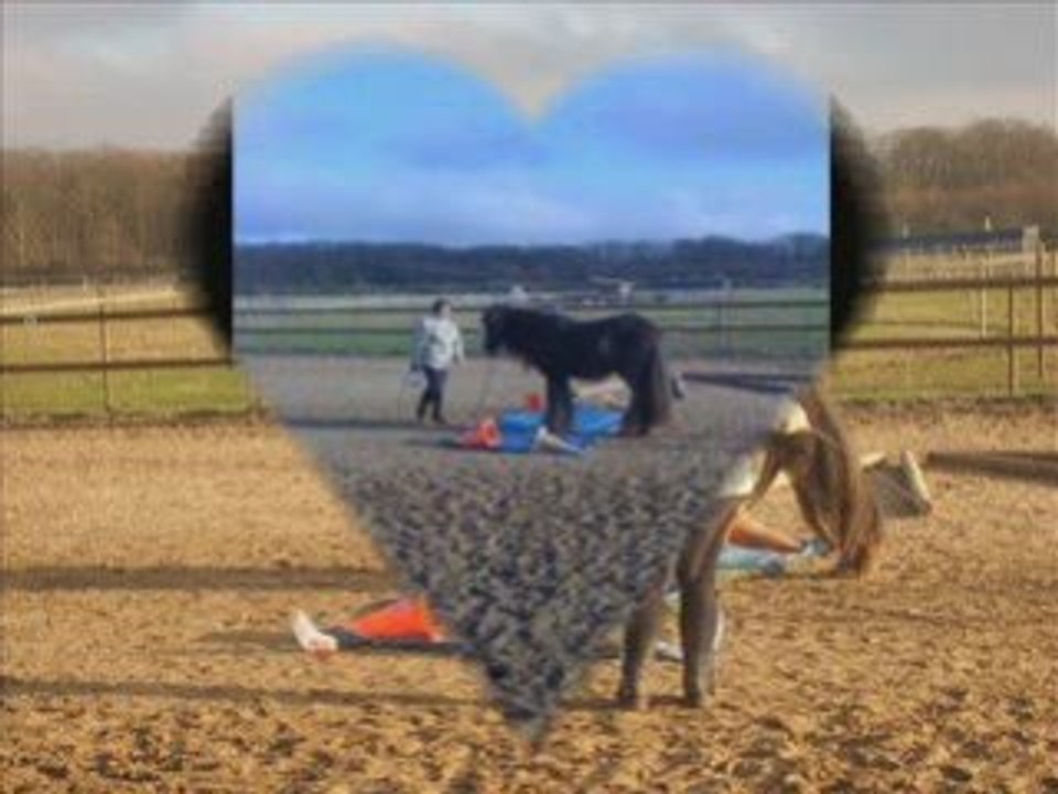 La bache