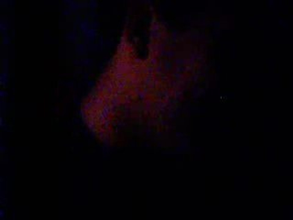 Ma femme c'est ma femme !