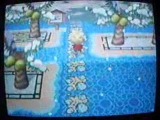 Animal Crossing : Ville Spader