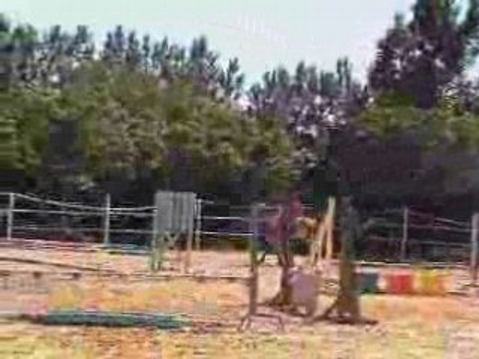 Marine et Petit gris Challenge