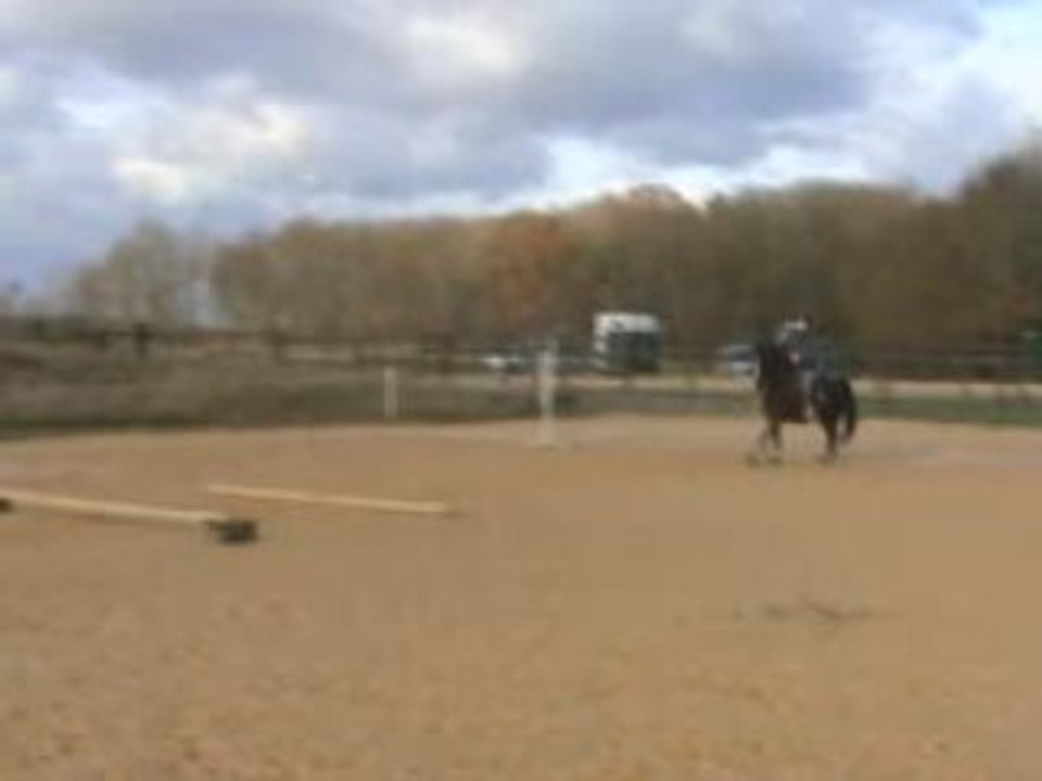 Nelsa2_obst_nov2008