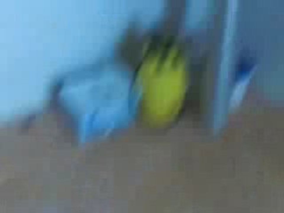 CIMG0009