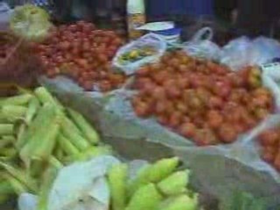 Sinop_Dikmen