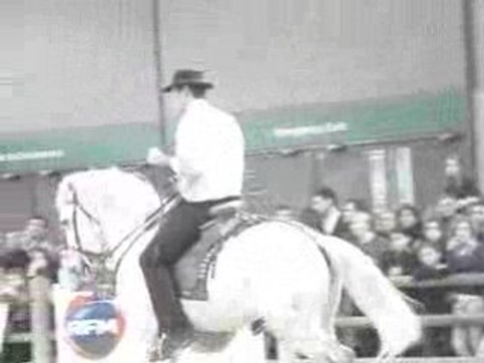 Vente de chevaux au salon