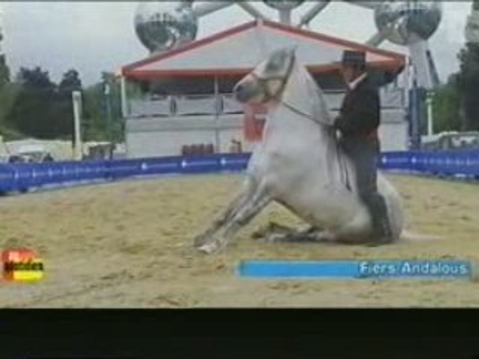 Francois Lespes au Quotidien - RTBF 6 Juin 2008