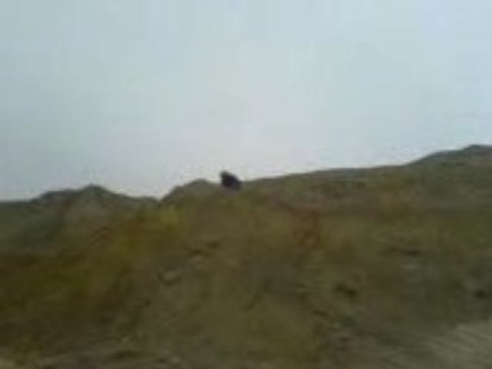 MOV00001