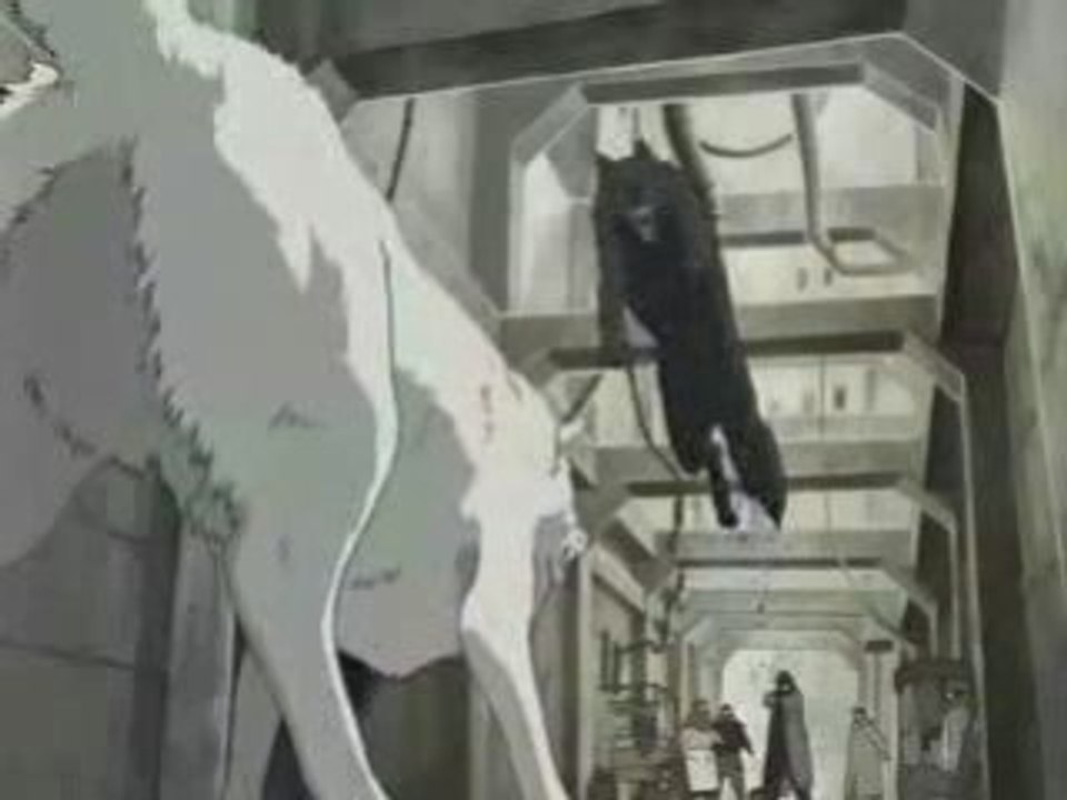 Wolf's the rain - AMV Zebrahead