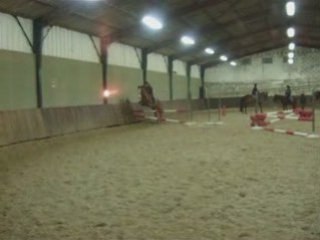 Picasso et moi en saut d'obstacle