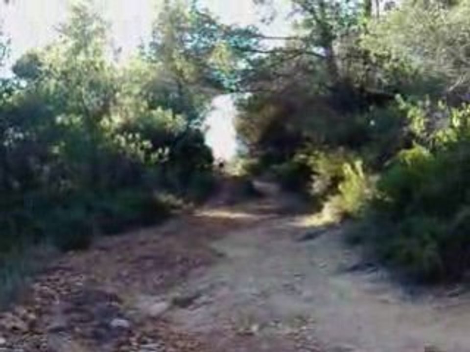 Vtt thomas