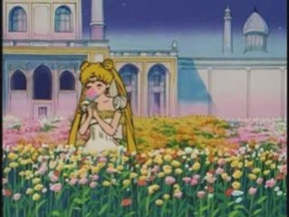 Sailor Moon- Cinderella
