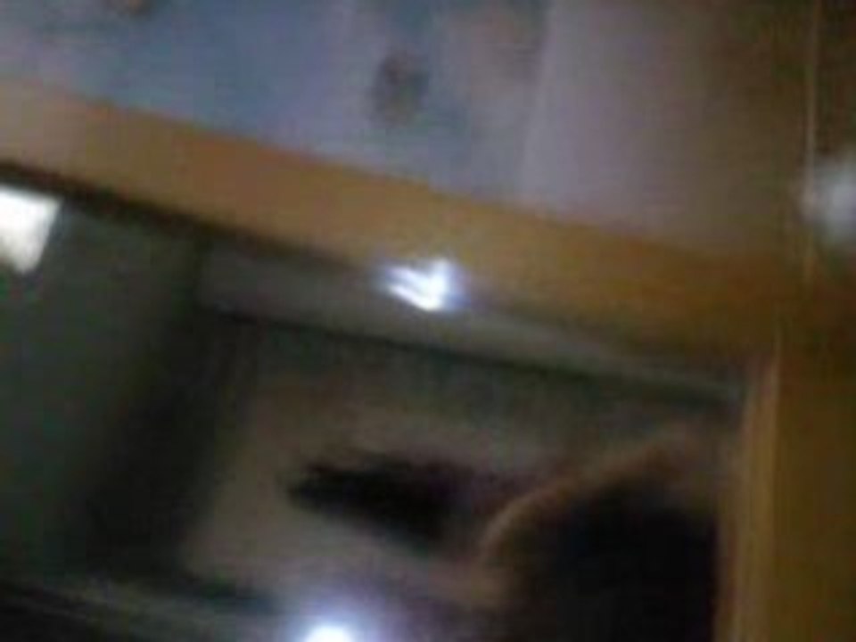 SV_A0016