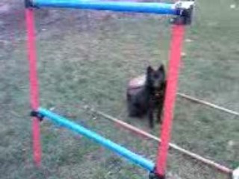 Vidéo skippy