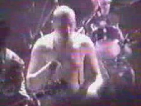 Komintern Sect - Unis Par Le Vin (Live)