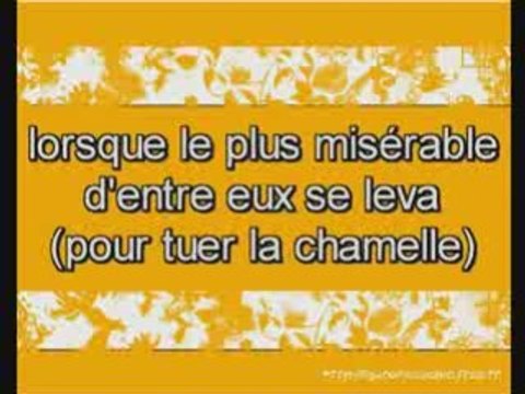 Sourate 91 Ach-Chams ( Le solei l) Récité par Hani Ar-Rifai