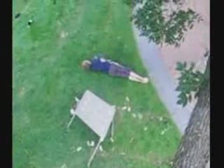 saut d'un arbre sur une table