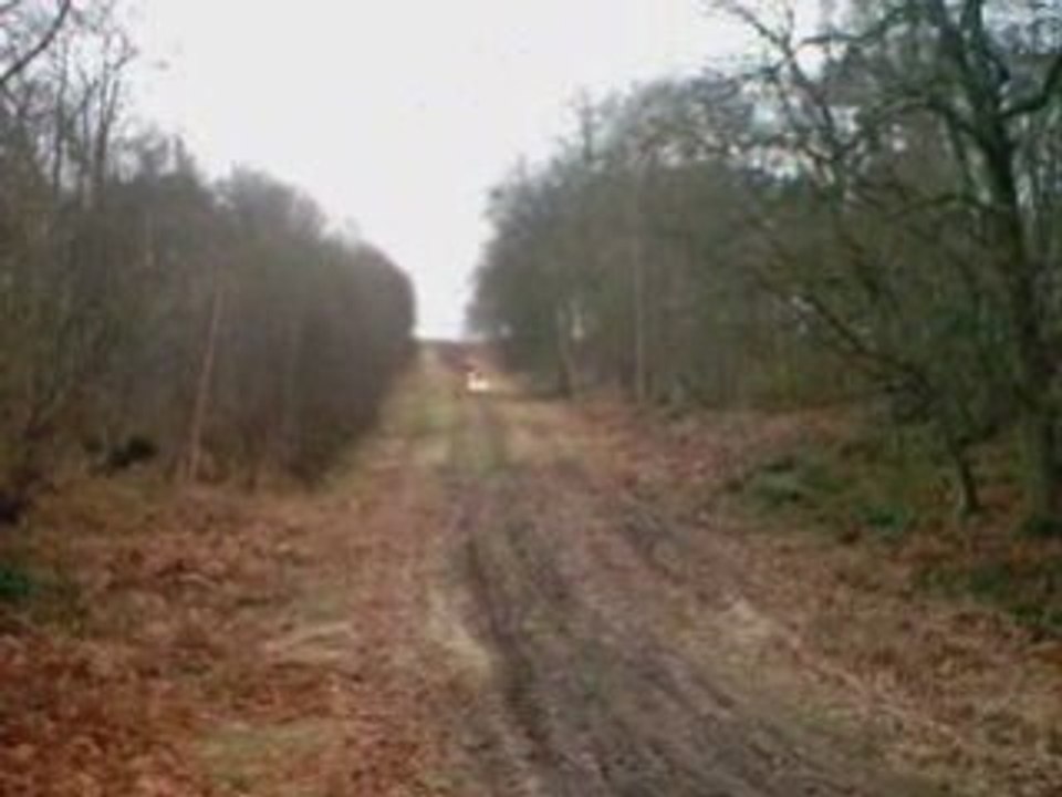 Sortie du 21-12-08
