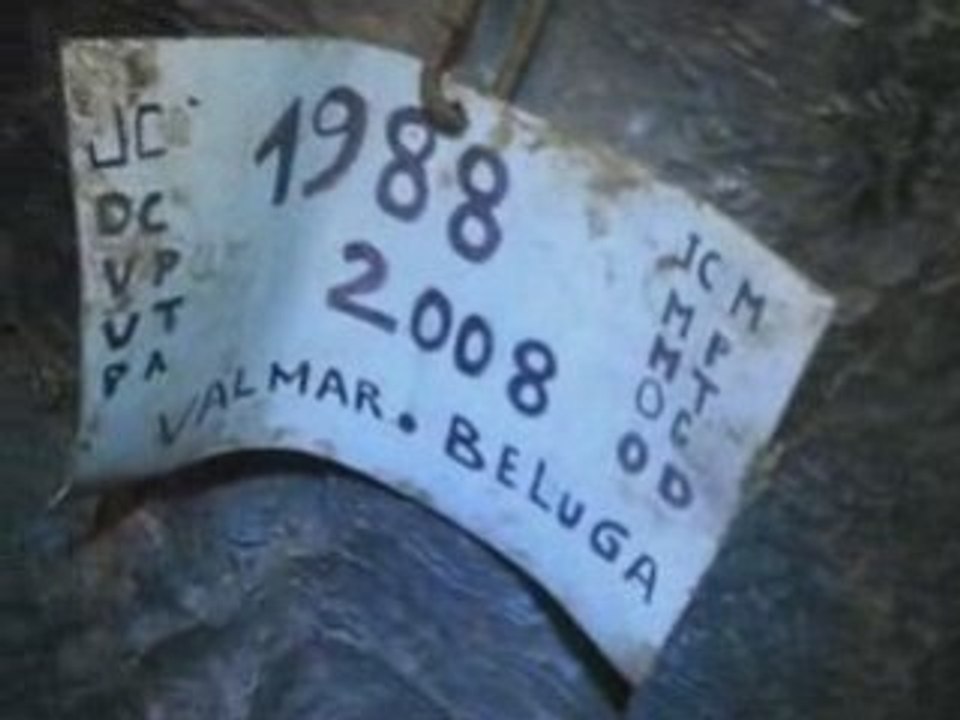 Jonction BELUGA ~ VALMAR