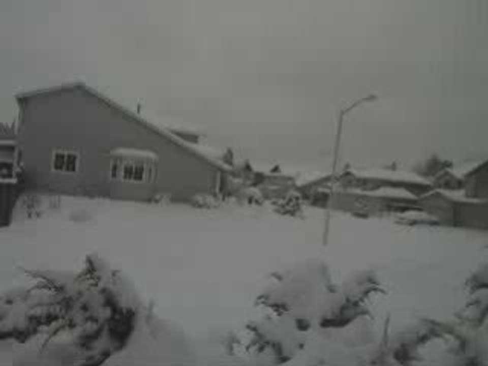 Webcam 1229970954812
