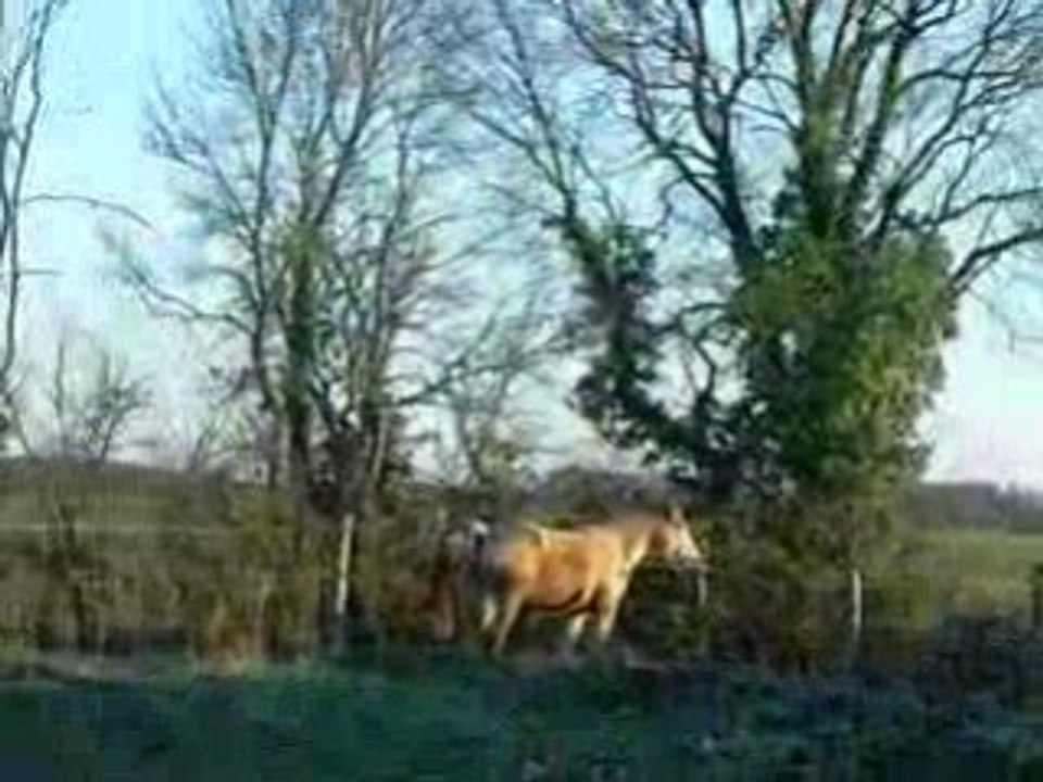 Romagne au galop