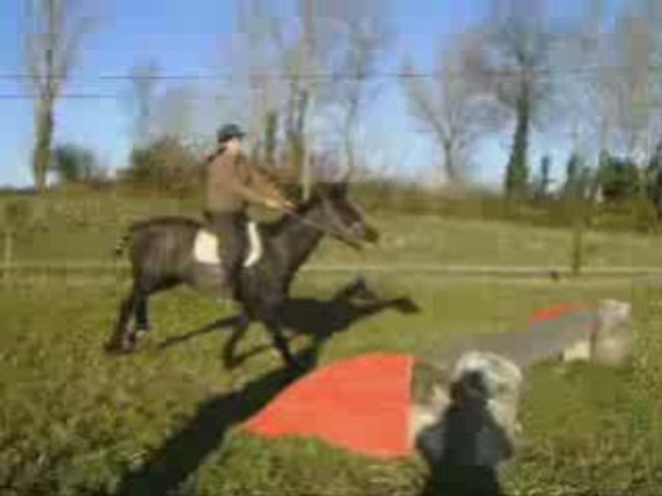 Video kikou