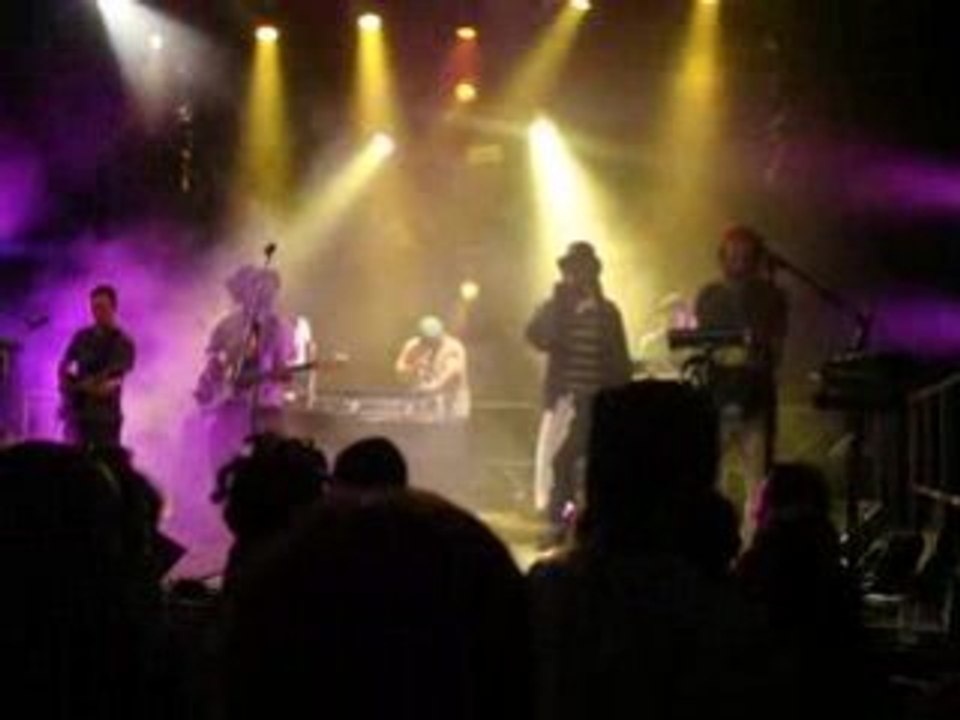 Improvisators Dub au festival roots