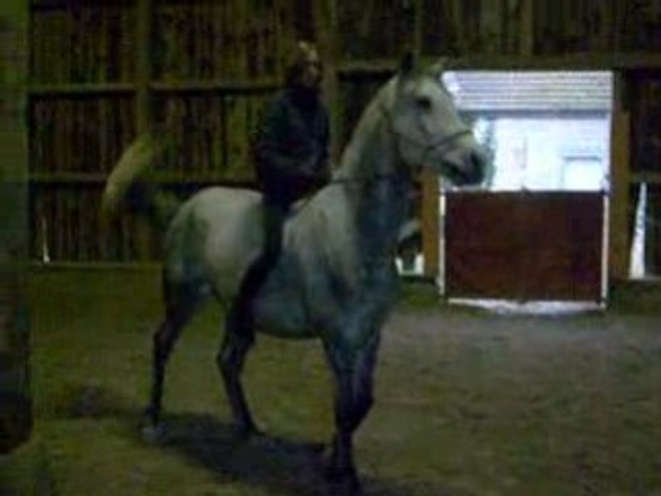 Toto  (L') qui recule