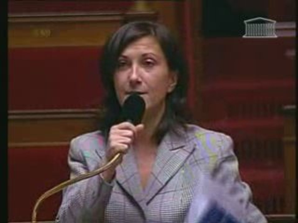 Intervention : Projet de loi sur l'audiovisuel 04/12/08 (2)