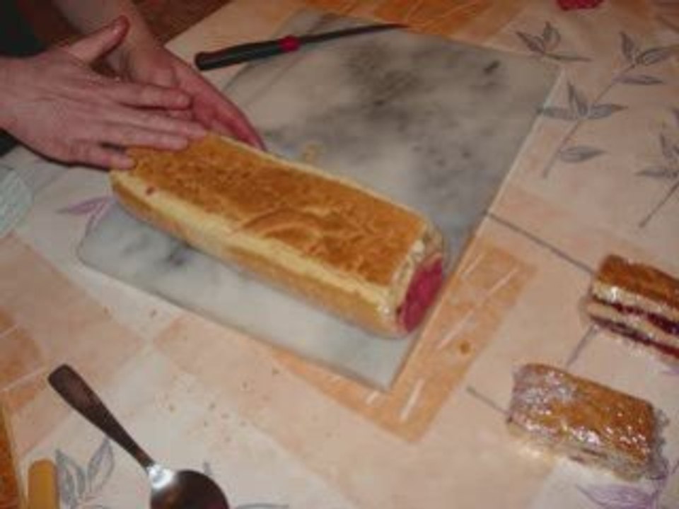 Bûche 2008